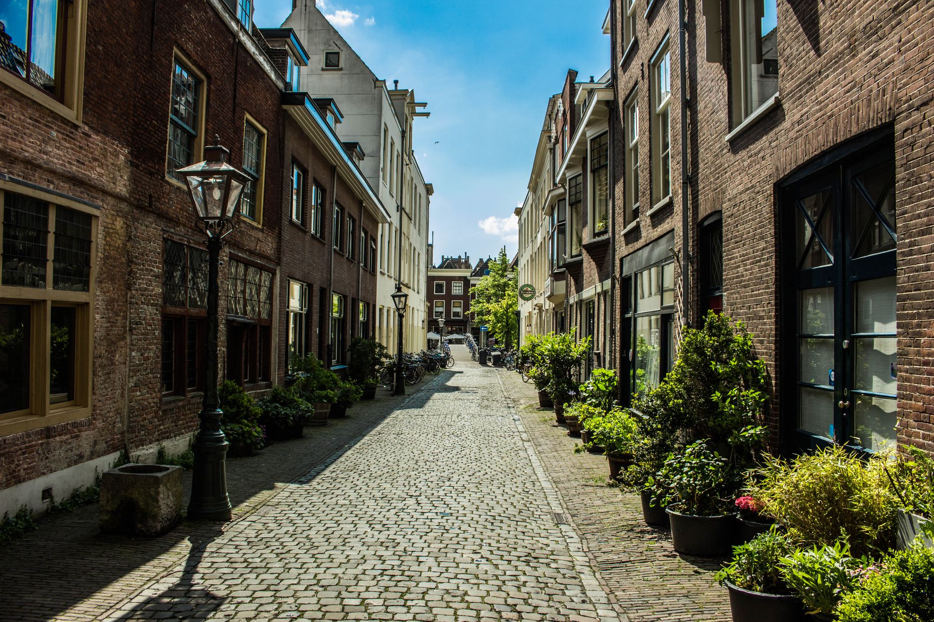 Typisch Nederlands straatje met bakstenen huizen in warm licht